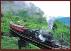 Nuwara Eliya Sri Lanka