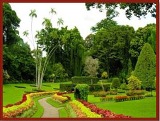 Botanical Garden_Sri Lanka Kandy Botanic Garden
