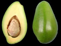 Avacado fruit Sri Lanka