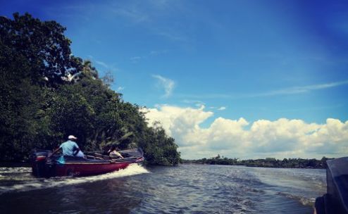 Bentota tour