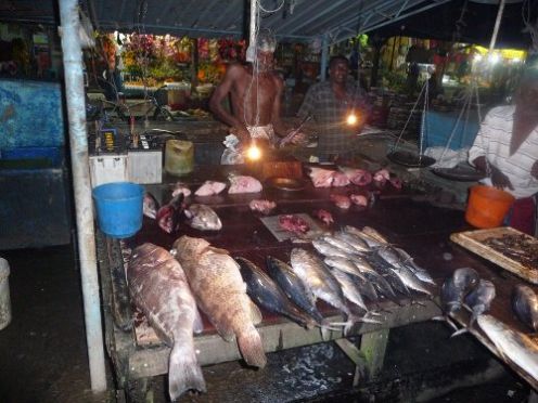 Beruwala - Fish Market