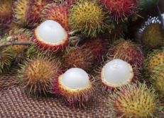 Rambutan fruit Sri Lanka
